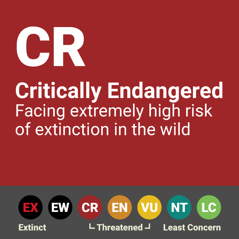 RedListing2 CR