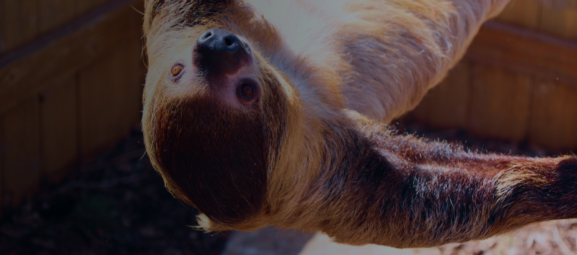 Upcoming events - Abilene Zoo