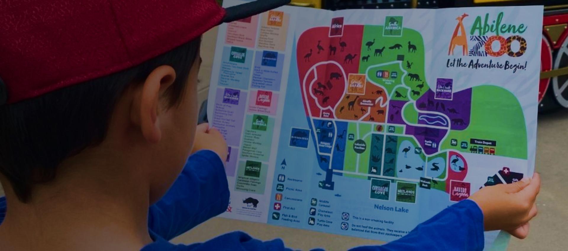 Abilene Zoo Map Plan Your Visit