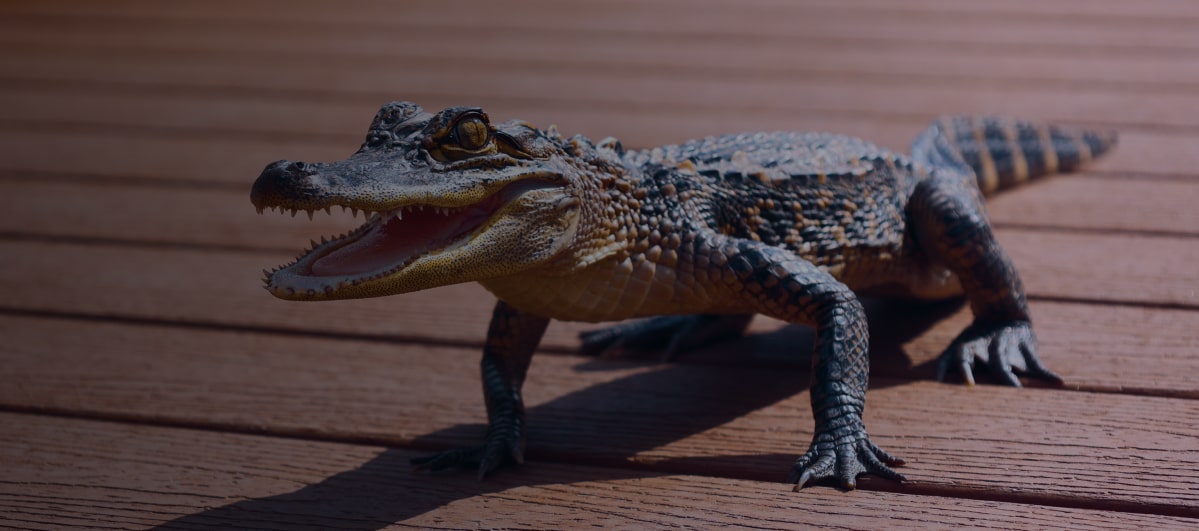 Zoo Tots - Abilene Zoo