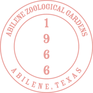 ABoldAdventure Stamps 02