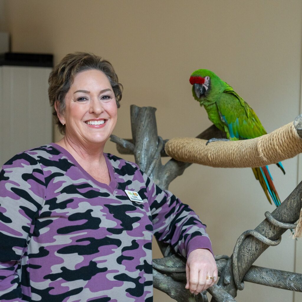 481287313 1077470147746183 5118002844499704468 n