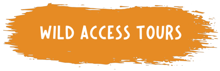 Untitled (1920 x 1080 px) (1920 x 800 px) (1)