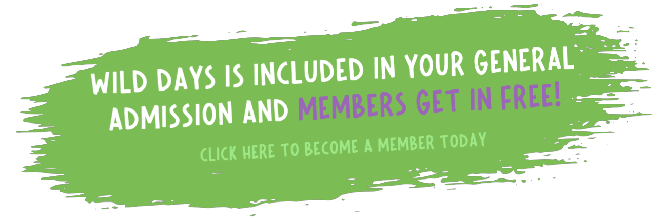 Untitled (1920 x 1080 px) (1920 x 800 px)