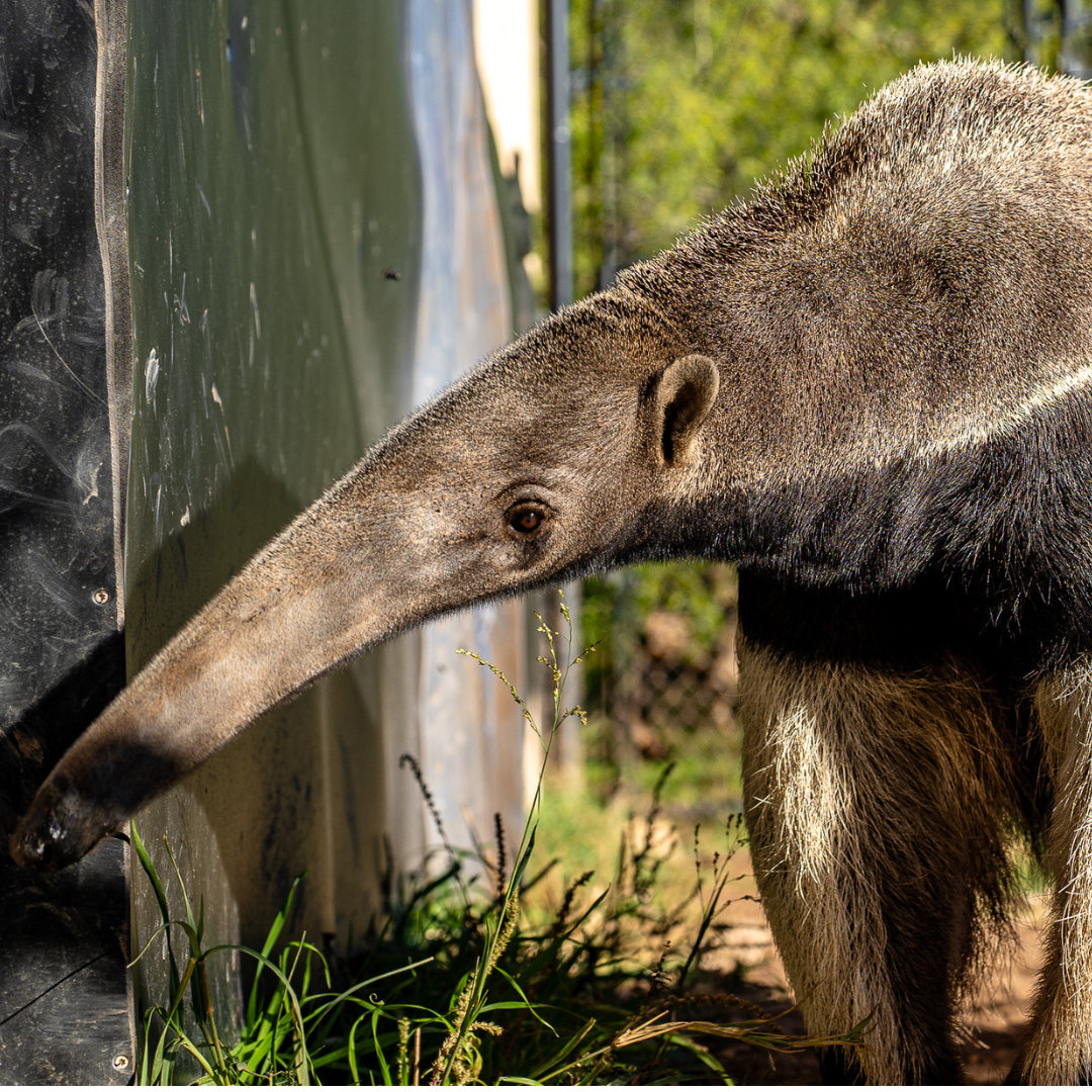 Untitled design (18)