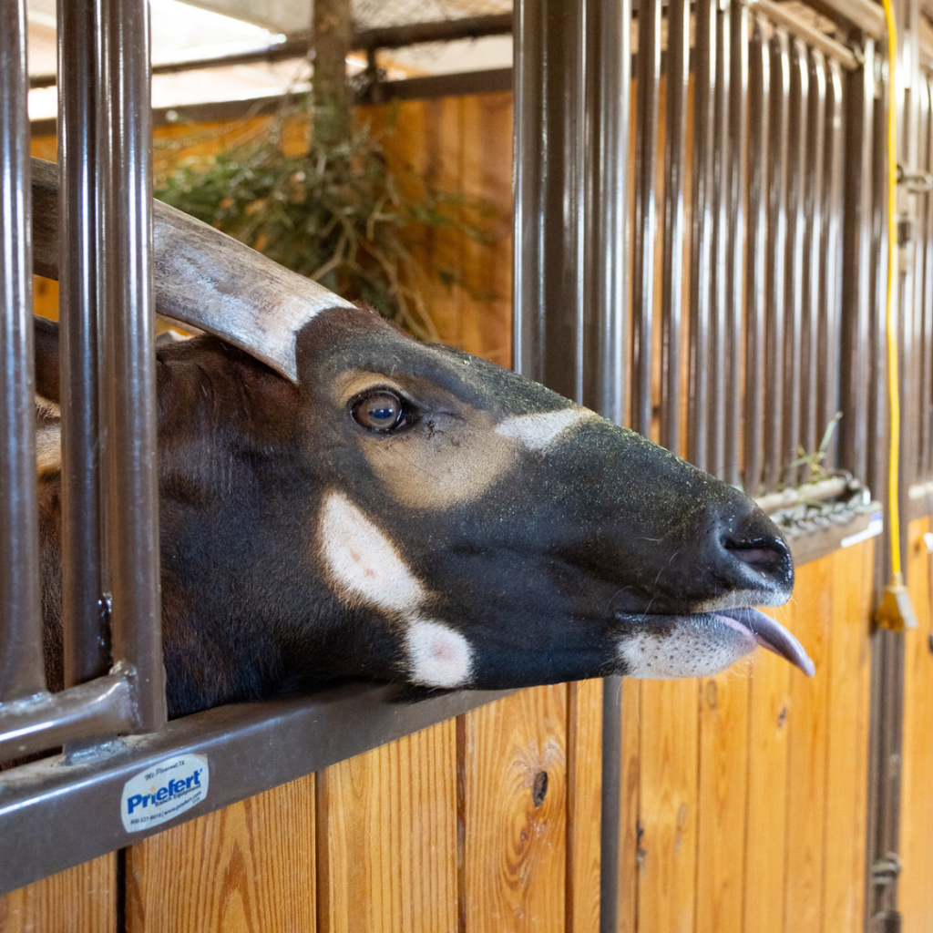 Untitled design (26)