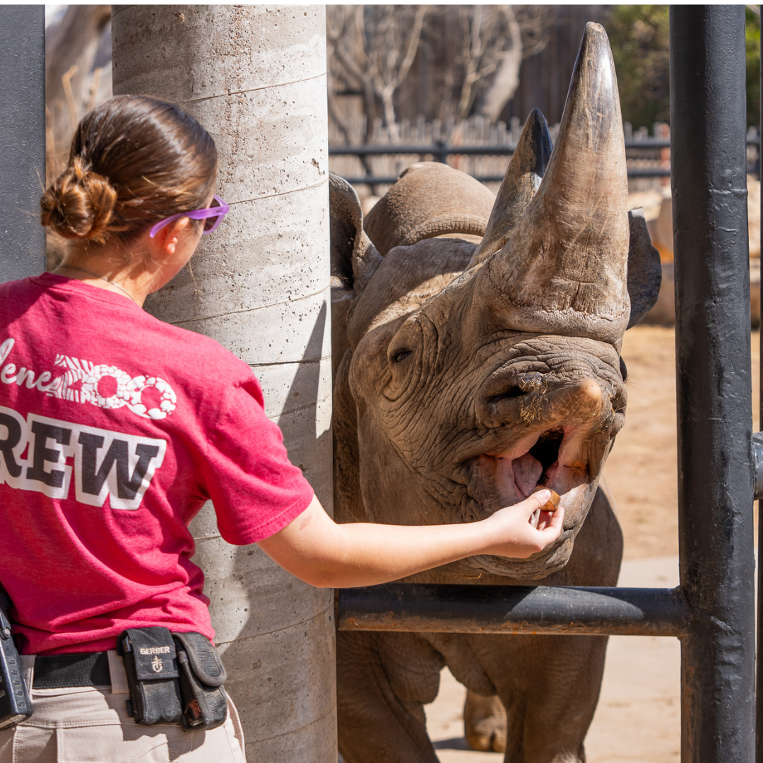 Untitled design (28)