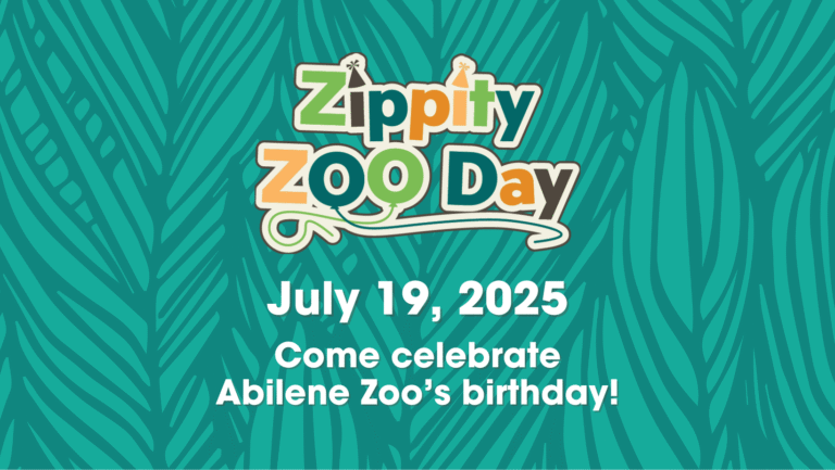 Zippity Zoo Day FB Banner 1640x924