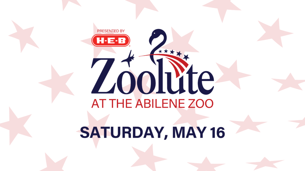 Zoolute2026 Digital 04