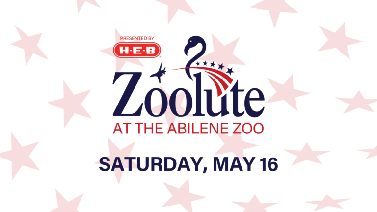Zoolute2026 Digital 04