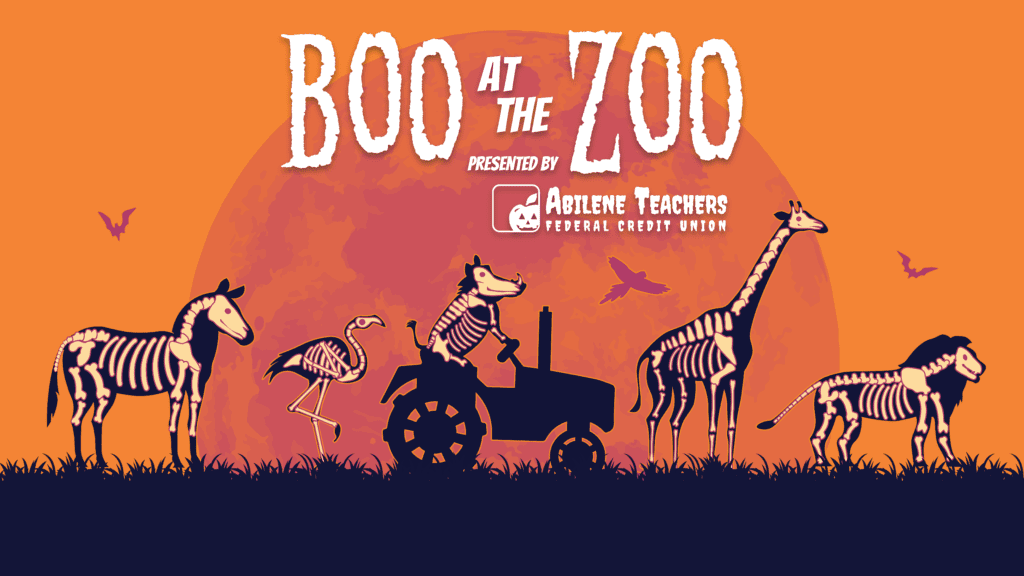 boo at the zoo abilene texas