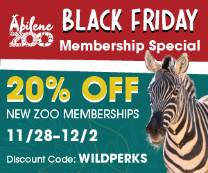 BlackFriday2025 DigitalDisplayAds 300x250