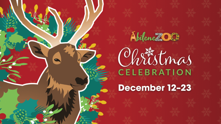 ChristmasCelebration2025 Social Banner 1920x1080