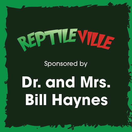 ChristmasCelebration ZoneLogos 18