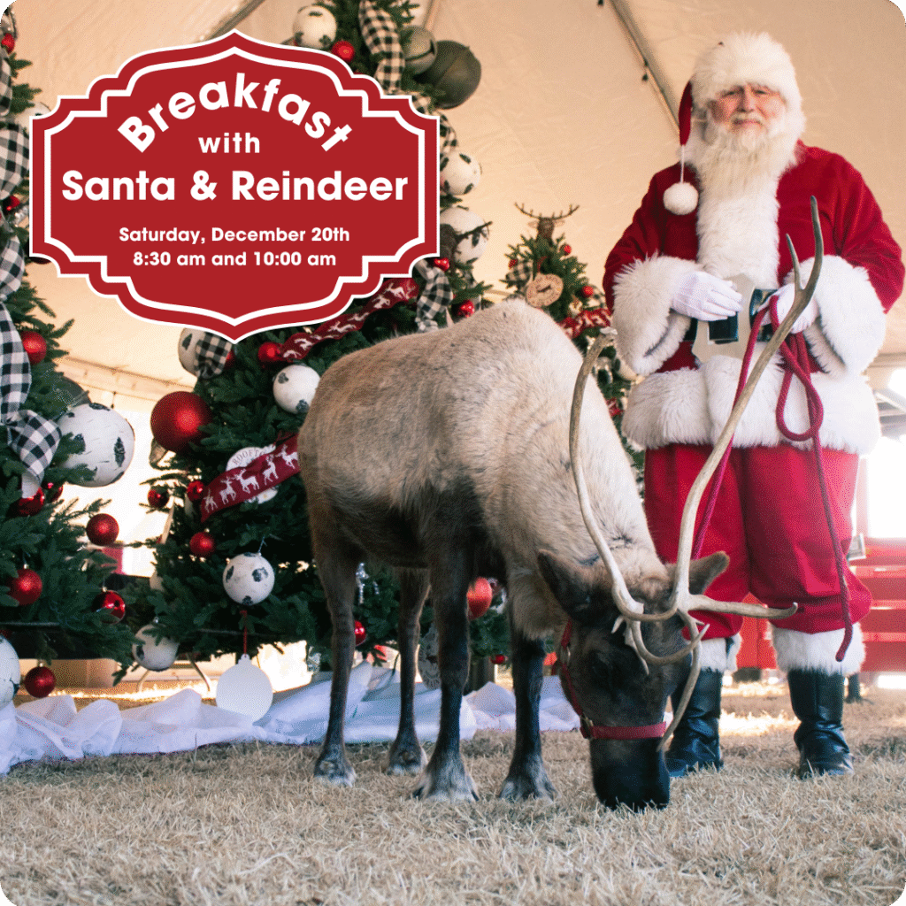 Santa & Reindeer Brunch (1)