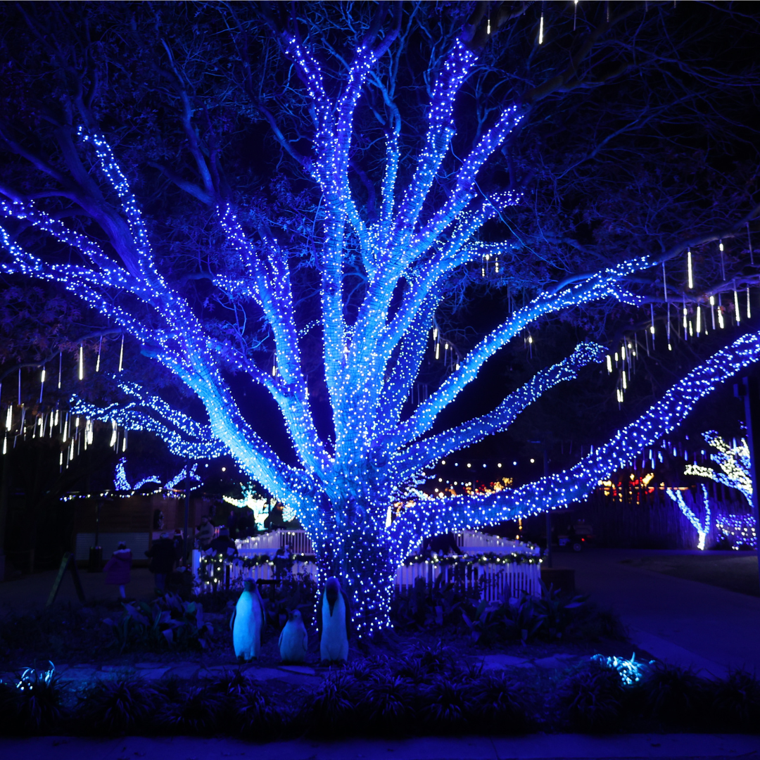 Untitled design (15)