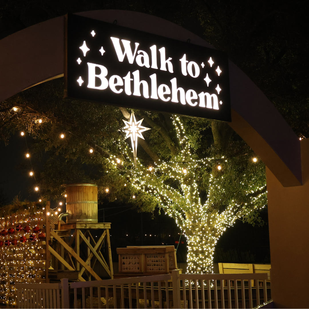 Untitled design (20)