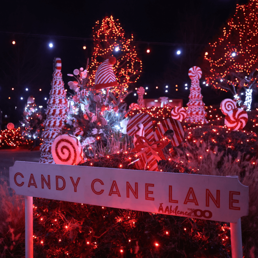 Untitled design (24)