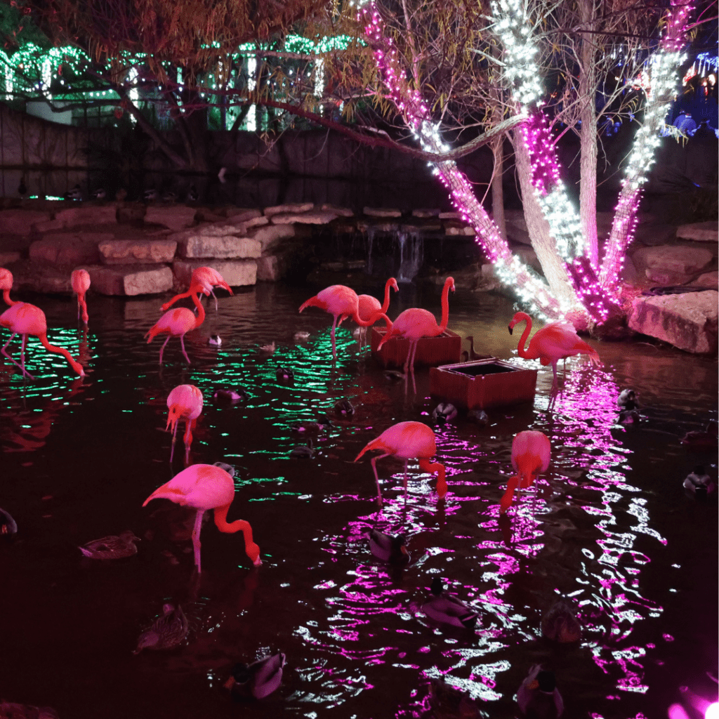 Untitled design (27)