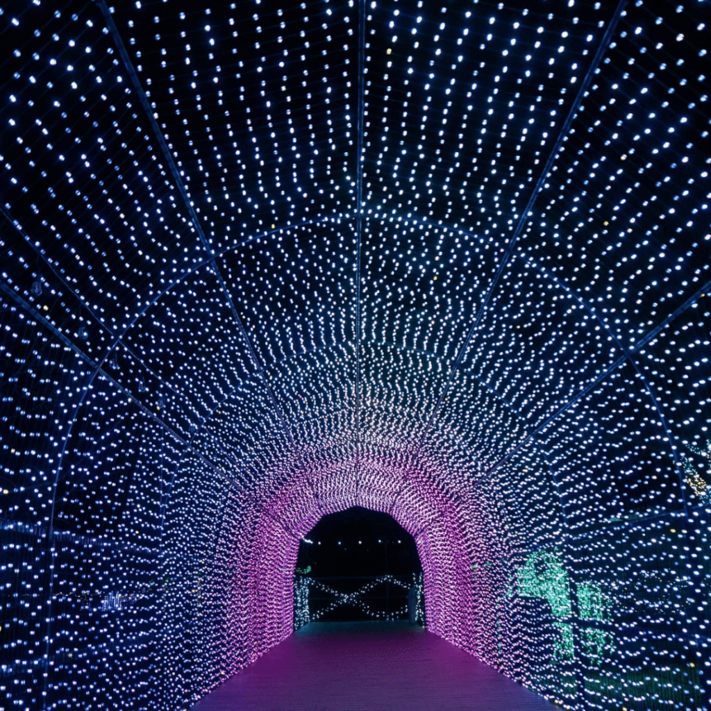 Untitled design (33)