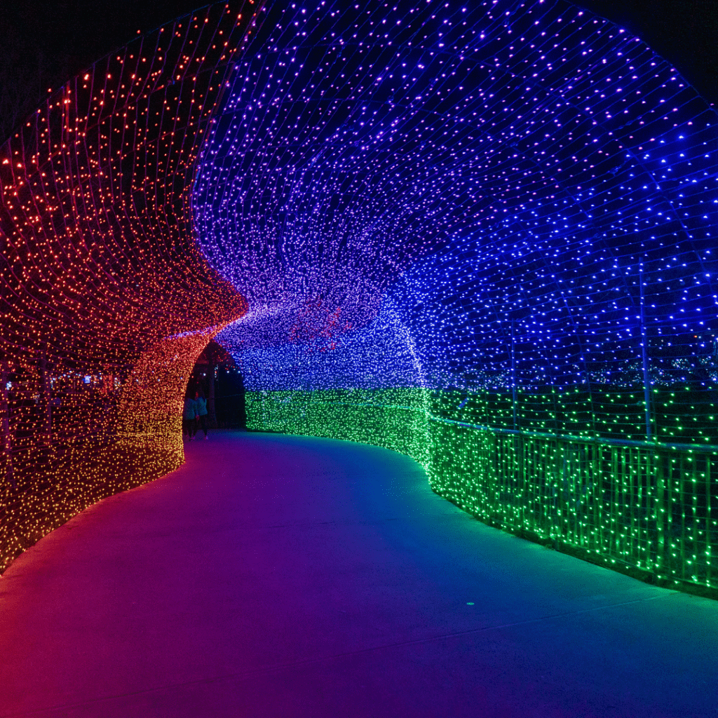 Untitled design (39)