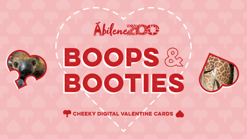 BoopsAndBooties Social 2 1920x1080