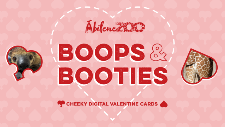 BoopsAndBooties Social 2 1920x1080