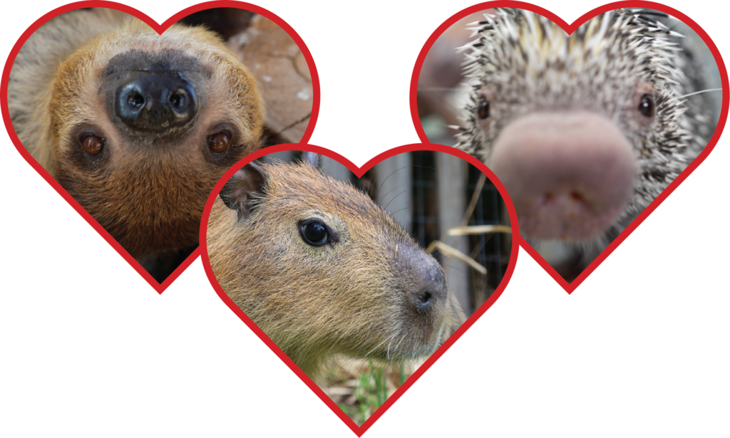 ValentinesDay Digital 2 43