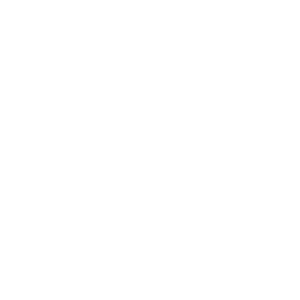WildDays Logo 01 (1)