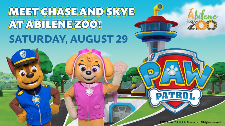 PawPatrol background 1920x1080@0.5x