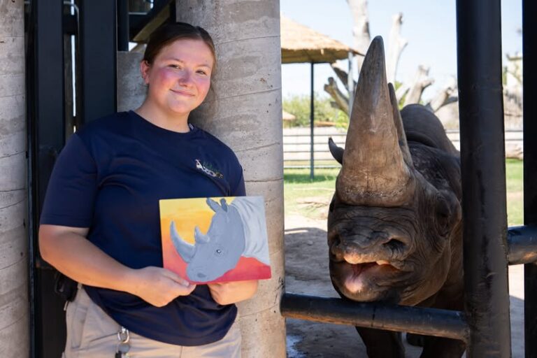 548183807 1237072025119327 6647249563901119239 n