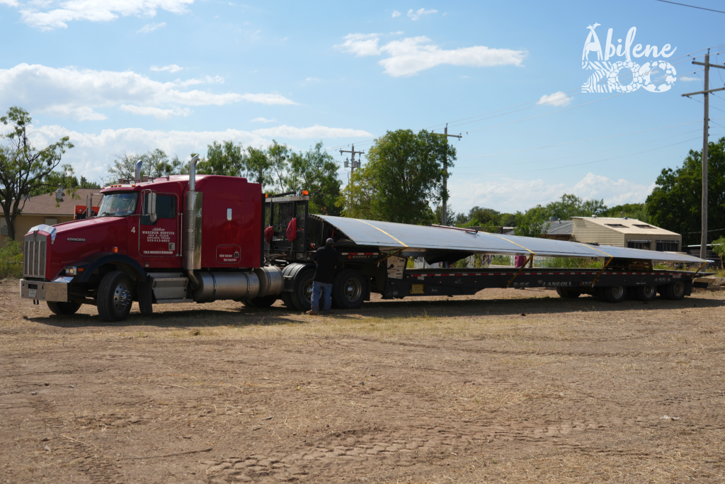 AbileneZooPressRelease C130 1