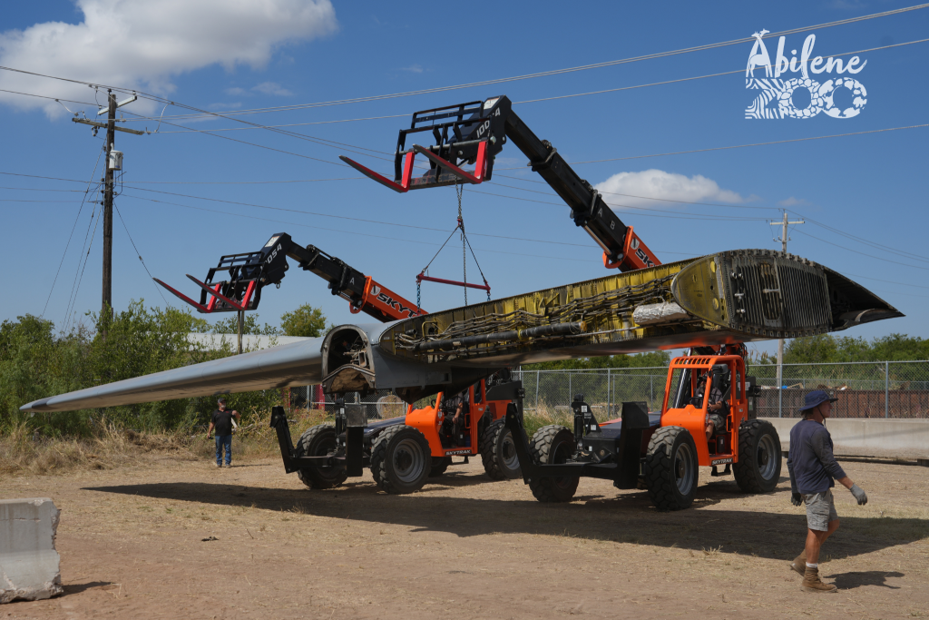 AbileneZooPressRelease C130 2