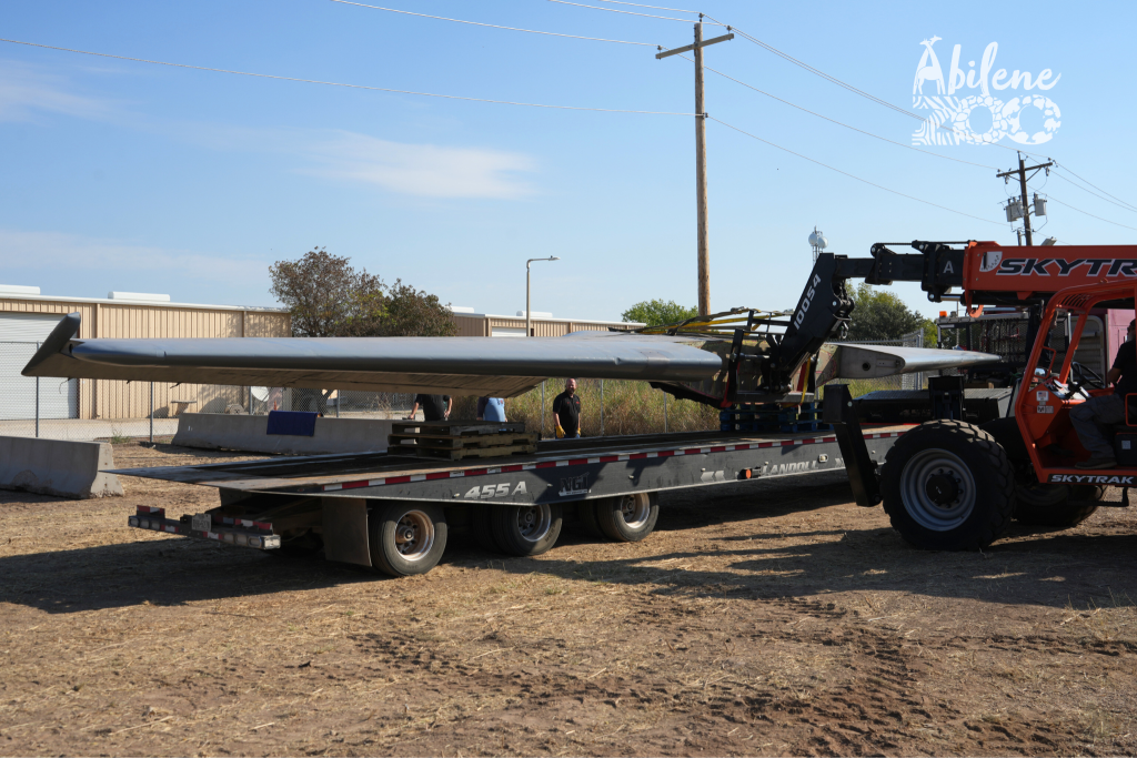 AbileneZooPressRelease C130 3