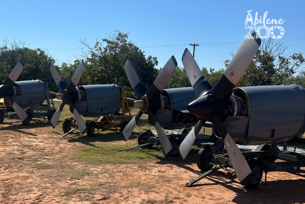 AbileneZooPressRelease C130 6