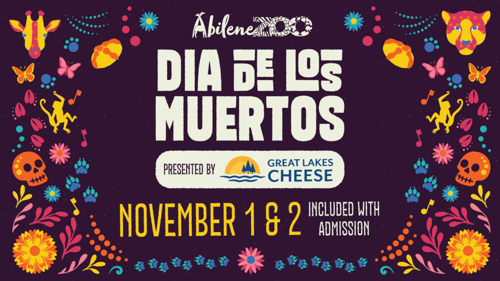 DiadelosMuertos2025 Billboard 1920x1080