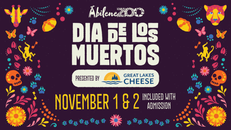 DiadelosMuertos2025 Billboard 1920x1080