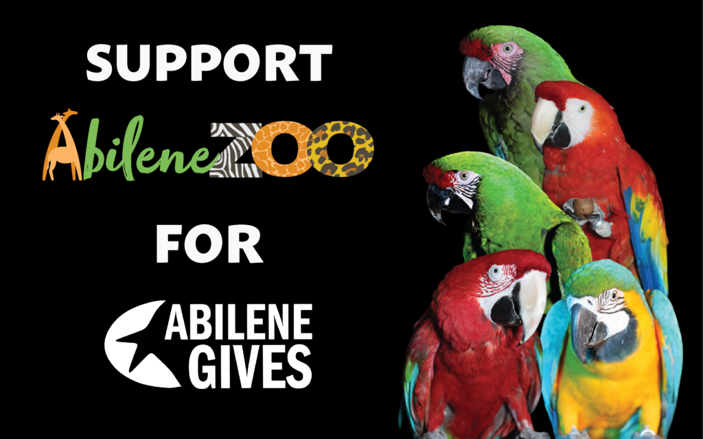 AbileneGives Billboard Oddball Digital copy