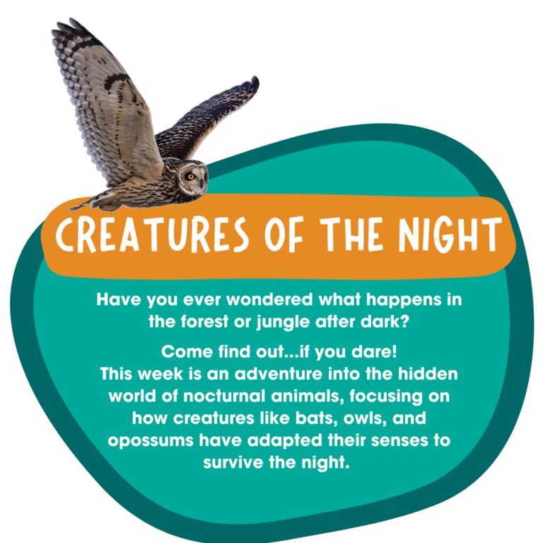 Creatures of the night (2)