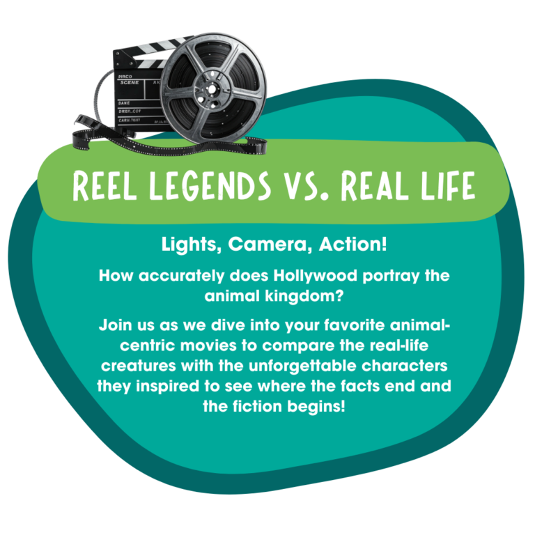 Reel legends