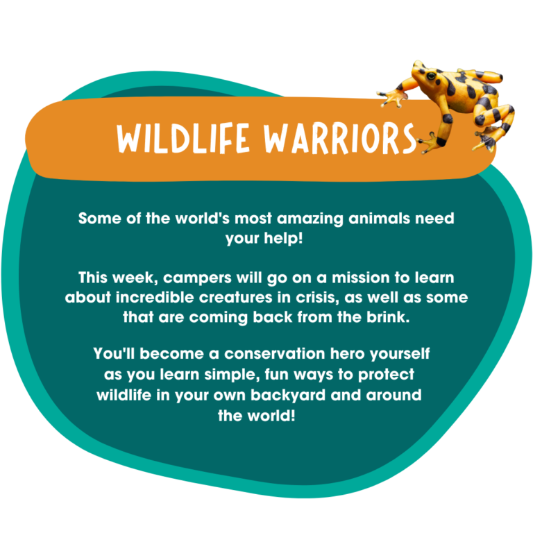 beauty of the beasts (2)