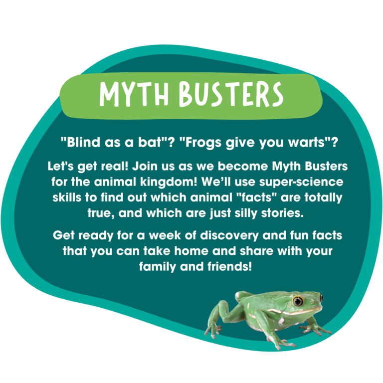 beauty of the beasts (2)