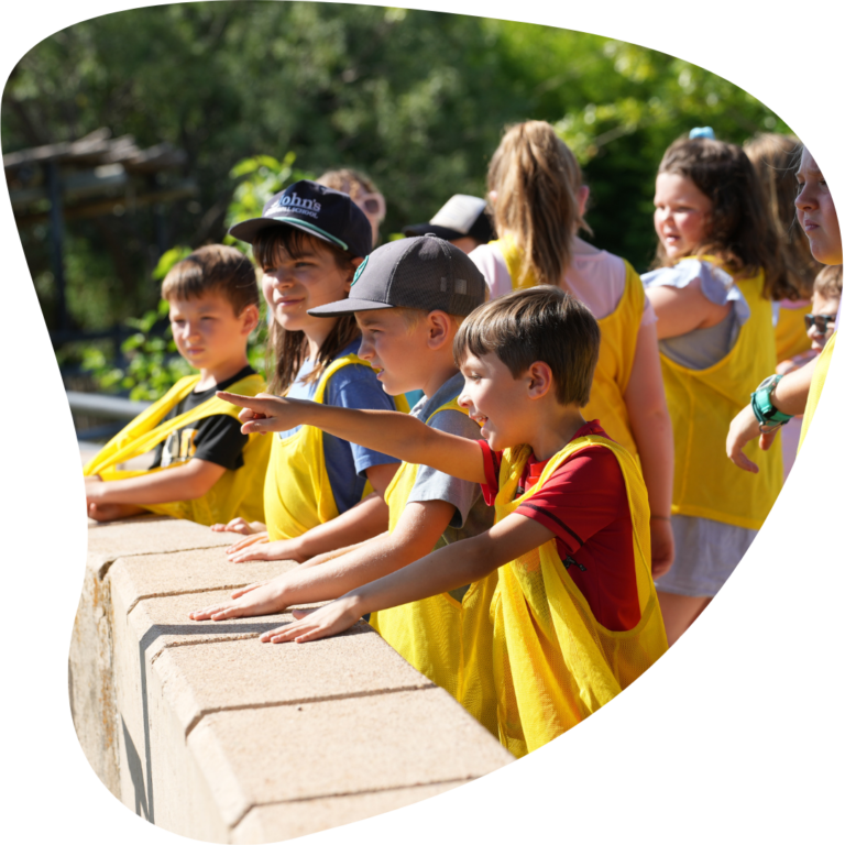 beauty of the beasts (5)