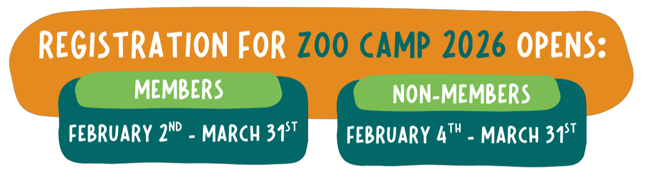 registration for zoo camp 2026 opens (2)