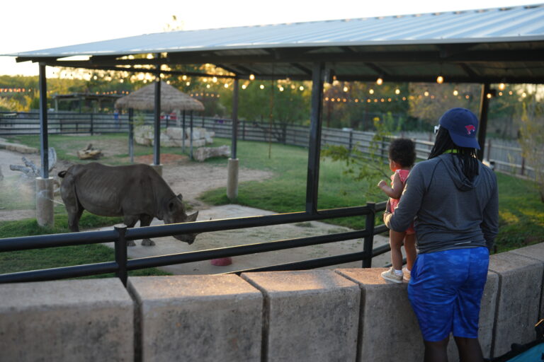 ZOO01154