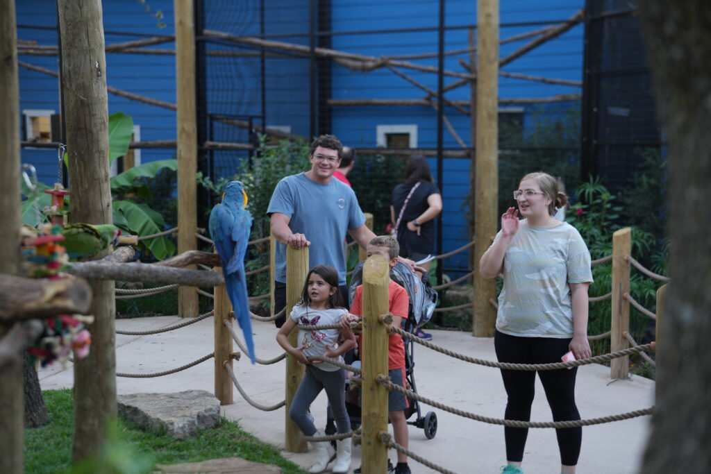 ZOO01161