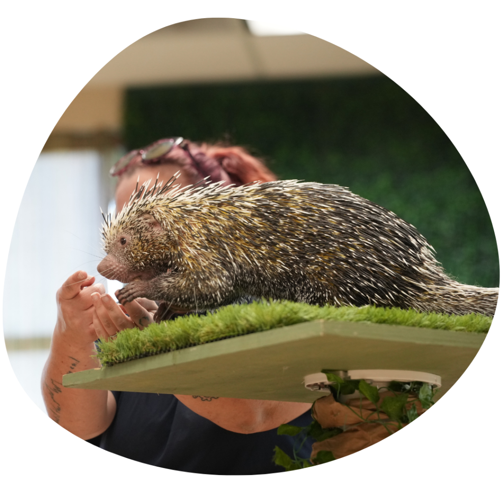 edzoocation classes porcupine