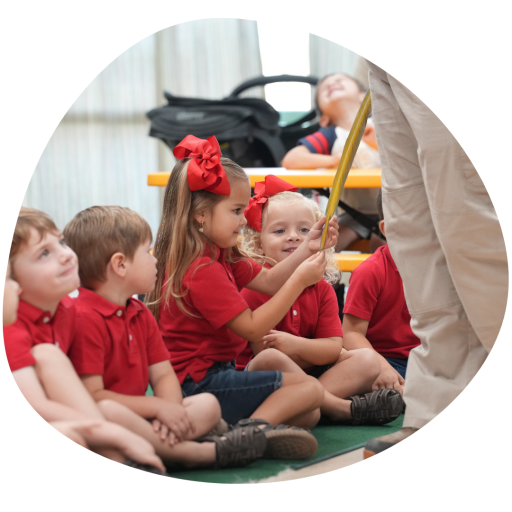 Edzoocation classes2
