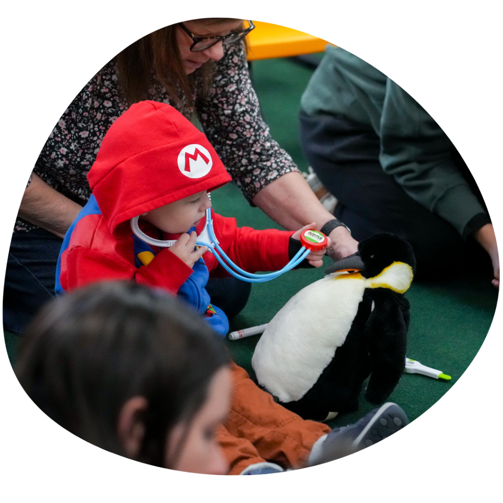 Edzoocation classes3