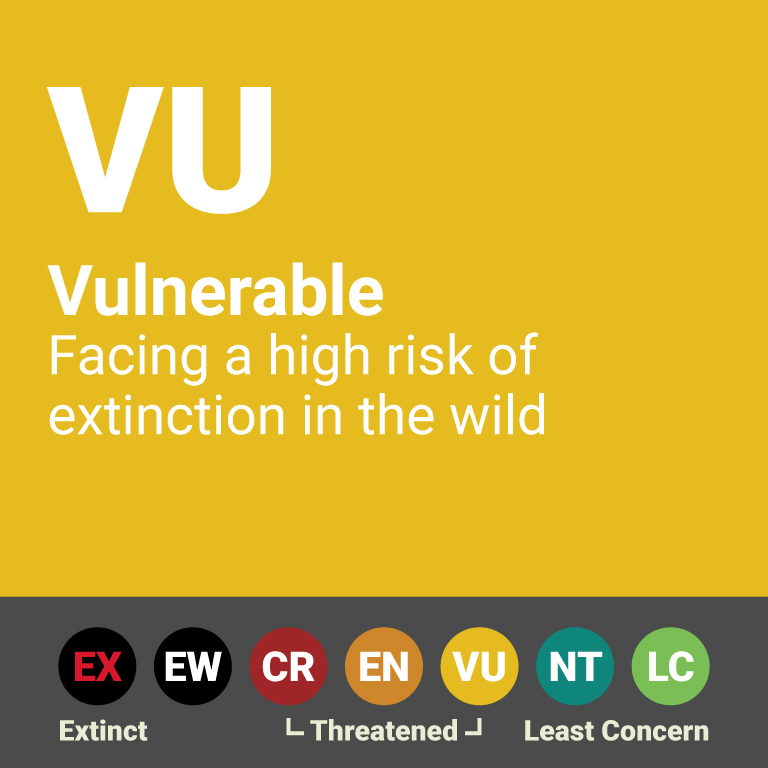 RedListing2 VU 1